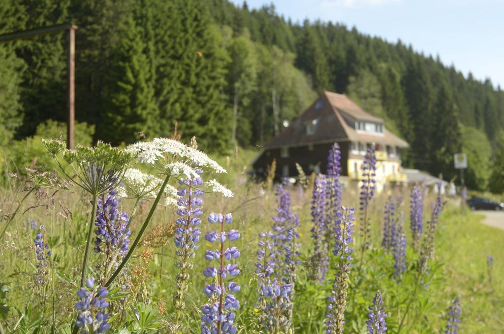 Gasthaus Hotel Loeffelschmiede Feldberg  Kültér fotó