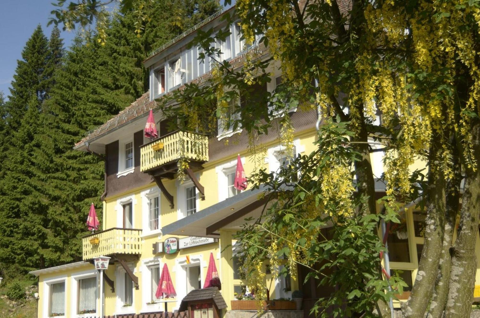 Gasthaus Hotel Loeffelschmiede Feldberg  Kültér fotó